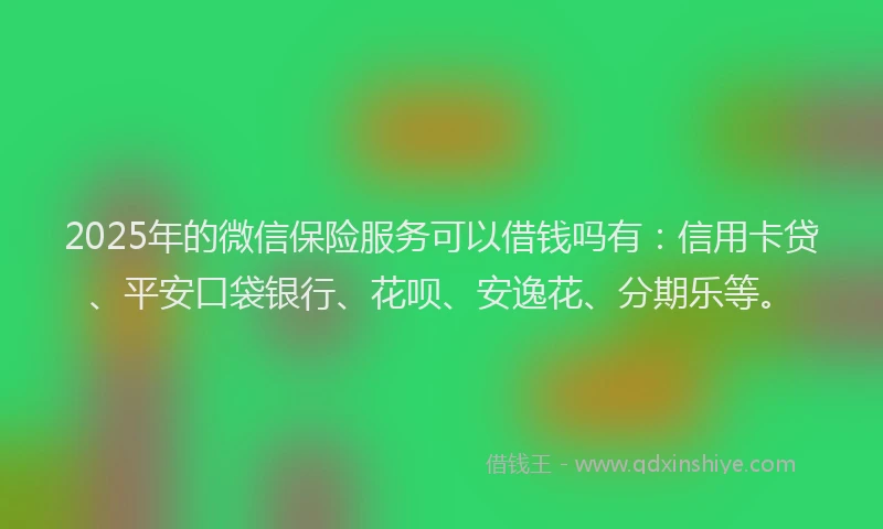 2025年的微信保险服务可以借钱吗有：信用卡贷、平安口袋银行、花呗、安逸花、分期乐等。