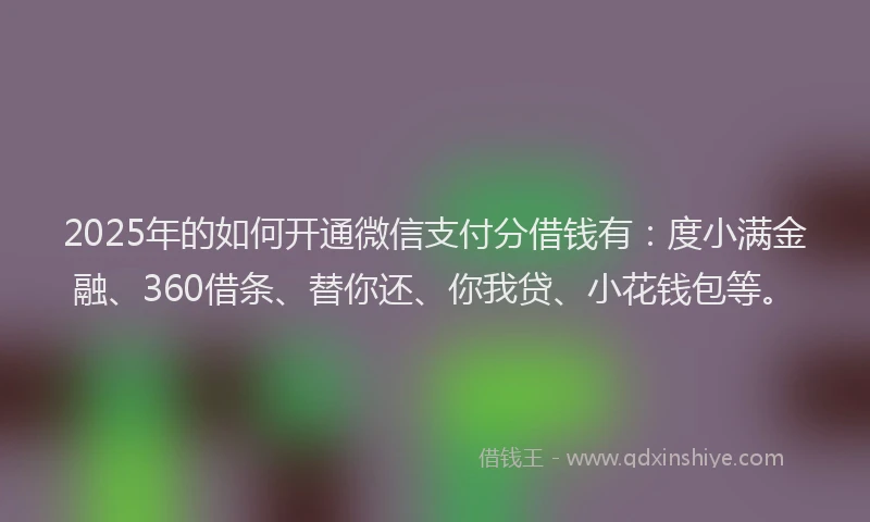 2025年的如何开通微信支付分借钱有：度小满金融、360借条、替你还、你我贷、小花钱包等。