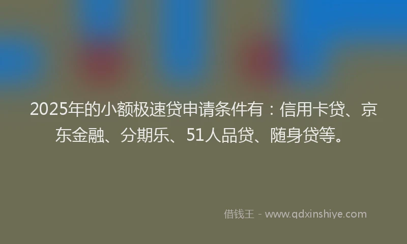 2025年的小额极速贷申请条件有：信用卡贷、京东金融、分期乐、51人品贷、随身贷等。