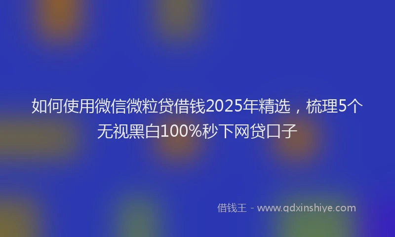 如何使用微信微粒贷借钱2025年精选，梳理5个无视黑白100%秒下网贷口子