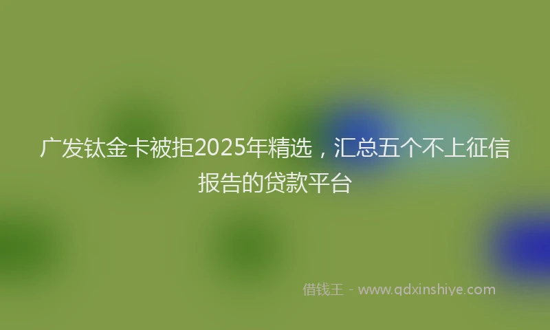 广发钛金卡被拒2025年精选，汇总五个不上征信报告的贷款平台