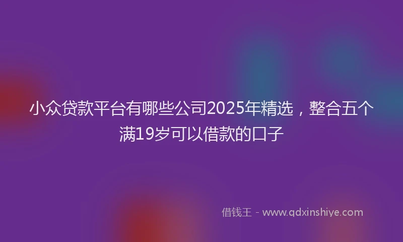 小众贷款平台有哪些公司2025年精选，整合五个满19岁可以借款的口子