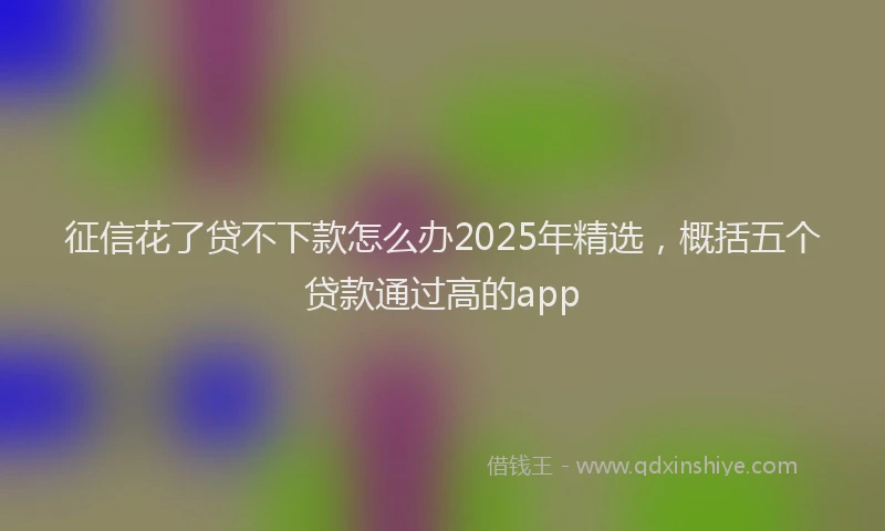 征信花了贷不下款怎么办2025年精选，概括五个贷款通过高的app