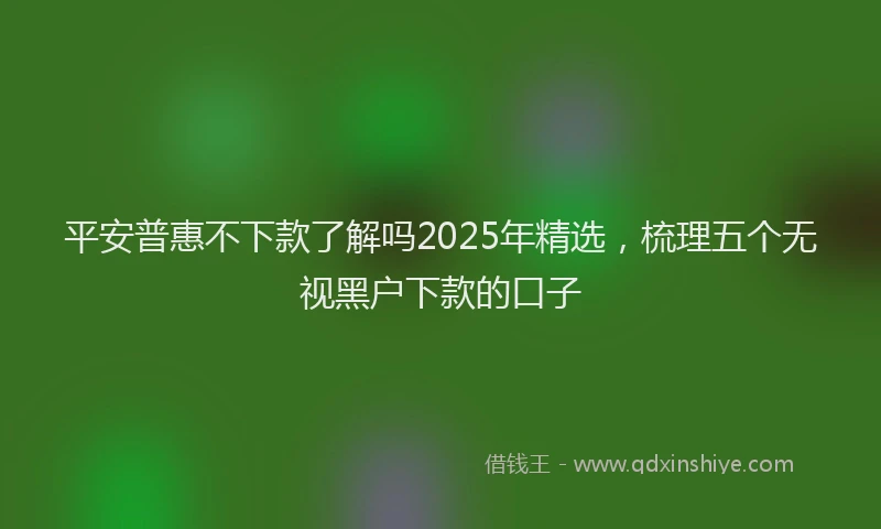 平安普惠不下款了解吗2025年精选，梳理五个无视黑户下款的口子