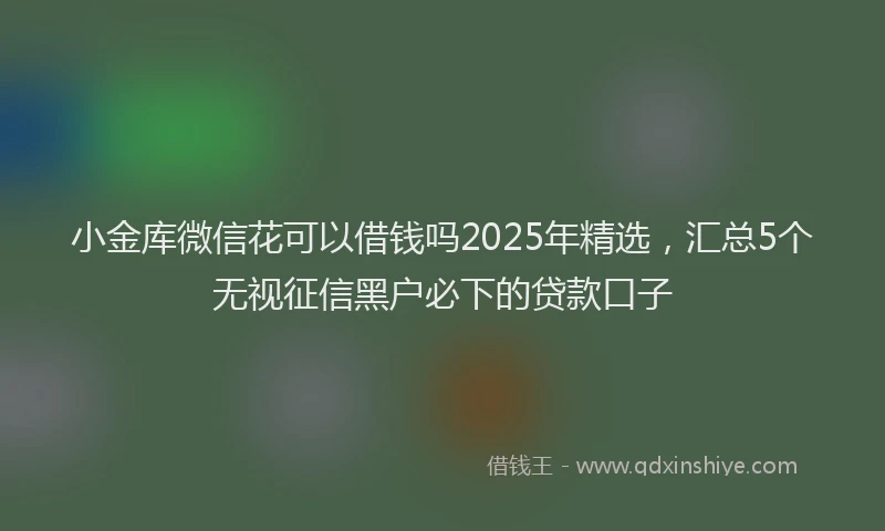 小金库微信花可以借钱吗2025年精选，汇总5个无视征信黑户必下的贷款口子