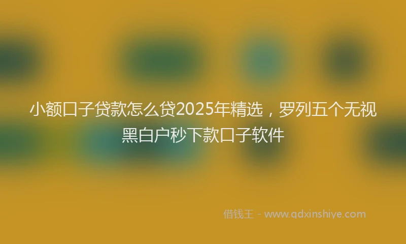 小额口子贷款怎么贷2025年精选，罗列五个无视黑白户秒下款口子软件