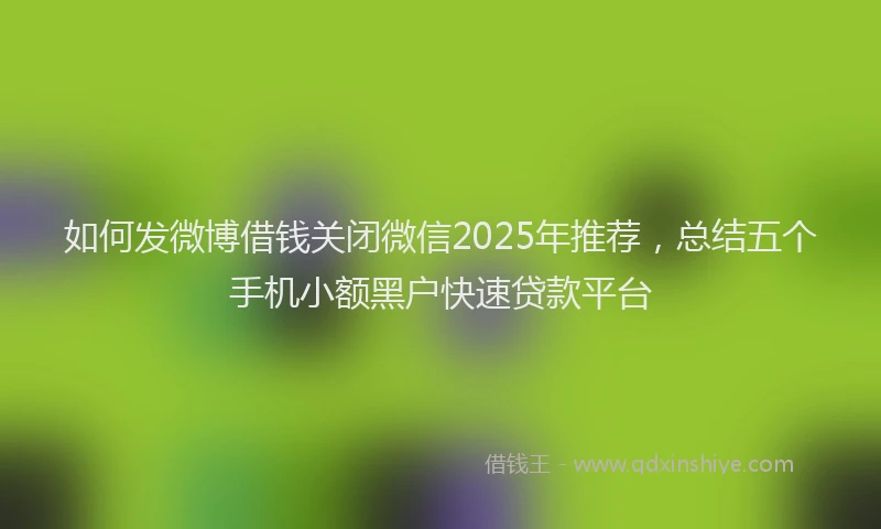 如何发微博借钱关闭微信2025年推荐，总结五个手机小额黑户快速贷款平台