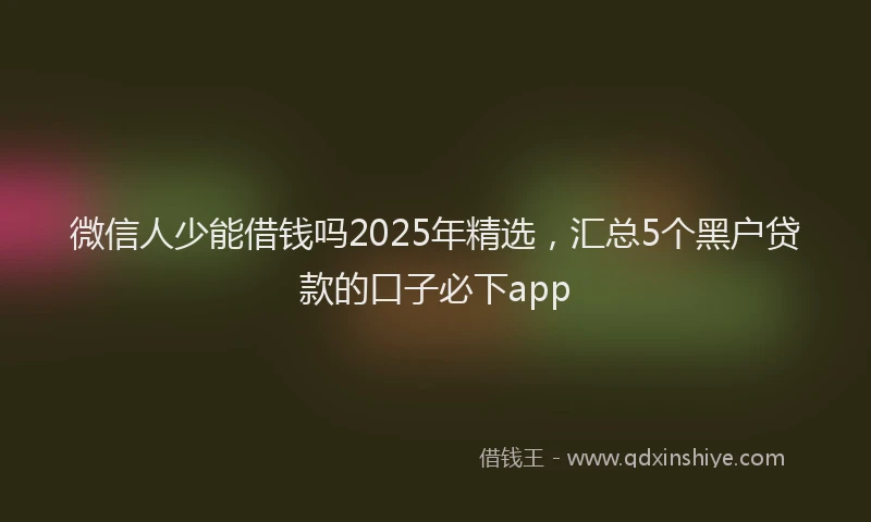 微信人少能借钱吗2025年精选，汇总5个黑户贷款的口子必下app