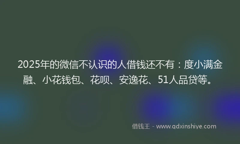 2025年的微信不认识的人借钱还不有：度小满金融、小花钱包、花呗、安逸花、51人品贷等。