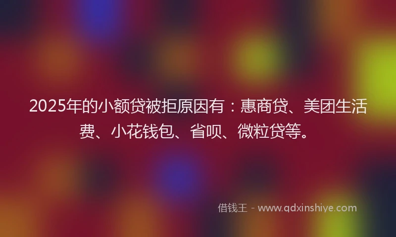 2025年的小额贷被拒原因有：惠商贷、美团生活费、小花钱包、省呗、微粒贷等。