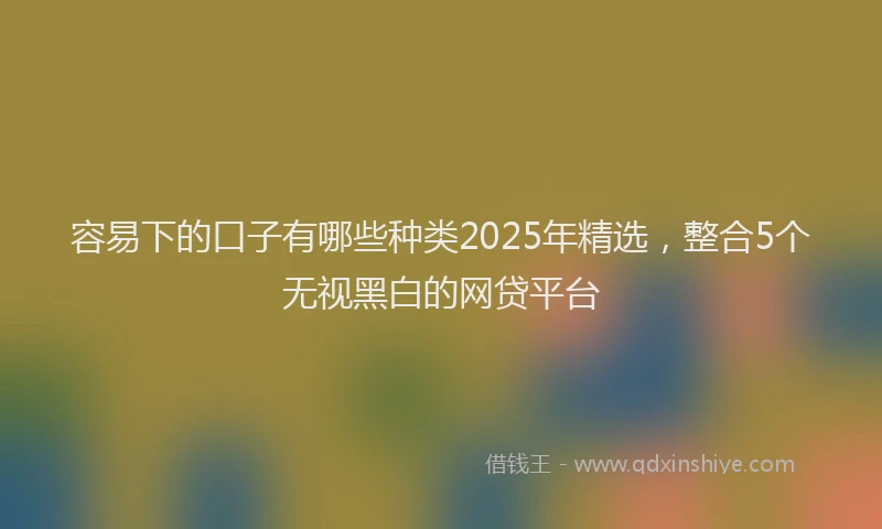 容易下的口子有哪些种类2025年精选，整合5个无视黑白的网贷平台
