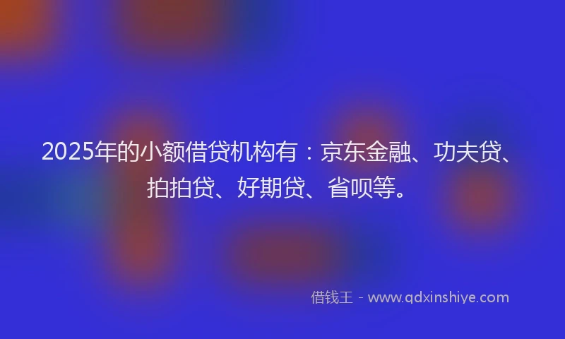 2025年的小额借贷机构有：京东金融、功夫贷、拍拍贷、好期贷、省呗等。