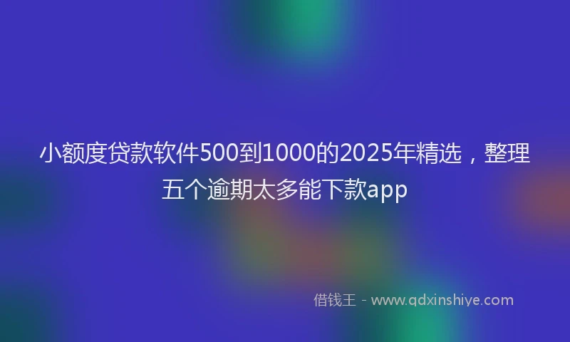 小额度贷款软件500到1000的2025年精选，整理五个逾期太多能下款app