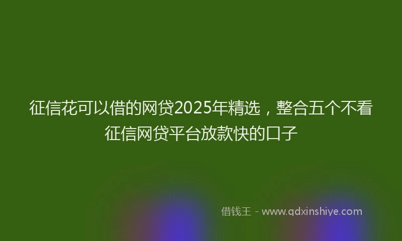 征信花可以借的网贷2025年精选，整合五个不看征信网贷平台放款快的口子