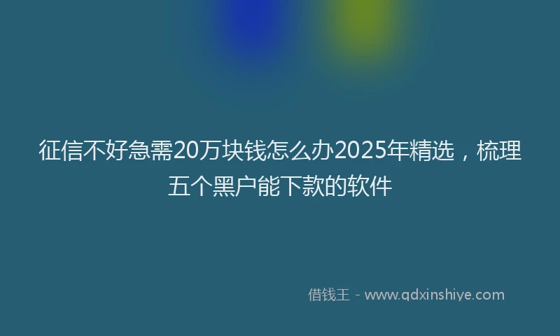 征信不好急需20万块钱怎么办2025年精选，梳理五个黑户能下款的软件