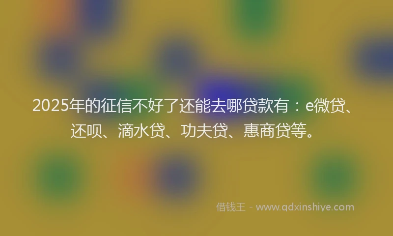 2025年的征信不好了还能去哪贷款有：e微贷、还呗、滴水贷、功夫贷、惠商贷等。
