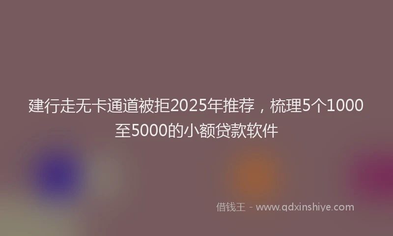 建行走无卡通道被拒2025年推荐，梳理5个1000至5000的小额贷款软件