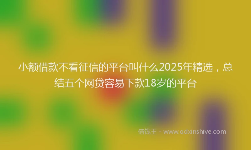 小额借款不看征信的平台叫什么2025年精选，总结五个网贷容易下款18岁的平台