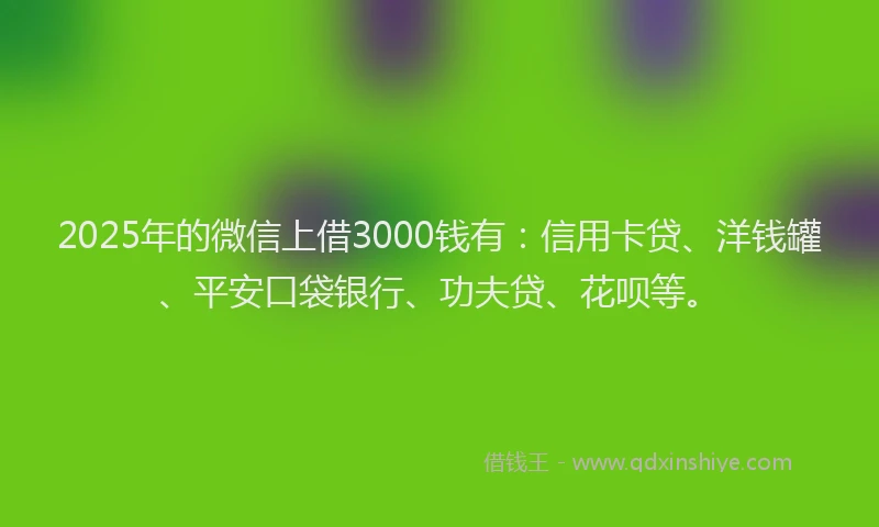 2025年的微信上借3000钱有：信用卡贷、洋钱罐、平安口袋银行、功夫贷、花呗等。