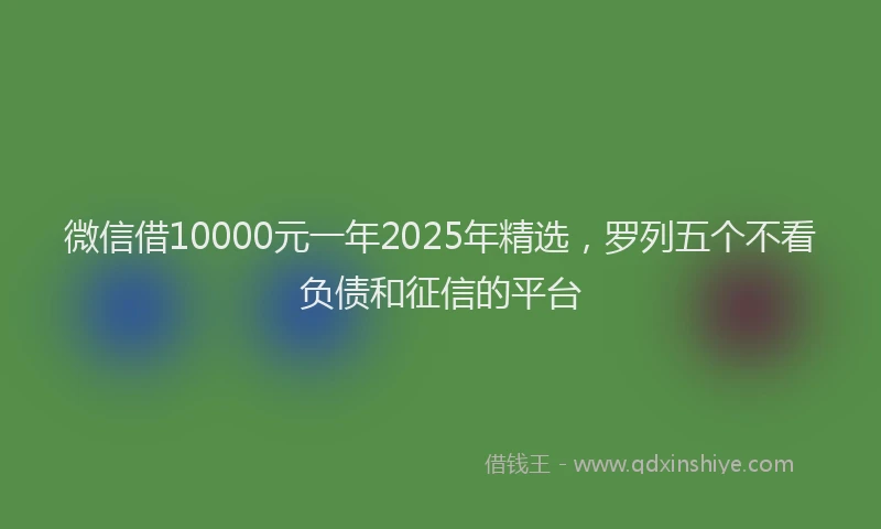 微信借10000元一年2025年精选，罗列五个不看负债和征信的平台