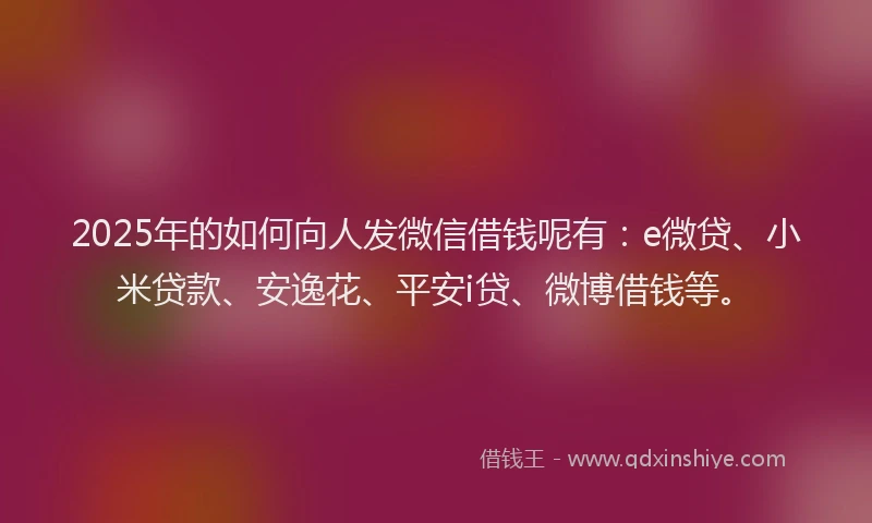 2025年的如何向人发微信借钱呢有：e微贷、小米贷款、安逸花、平安i贷、微博借钱等。