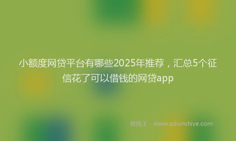 小额度网贷平台有哪些2025年推荐，汇总5个征信花了可以借钱的网贷app