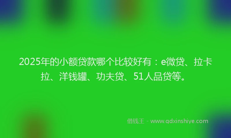 2025年的小额贷款哪个比较好有：e微贷、拉卡拉、洋钱罐、功夫贷、51人品贷等。