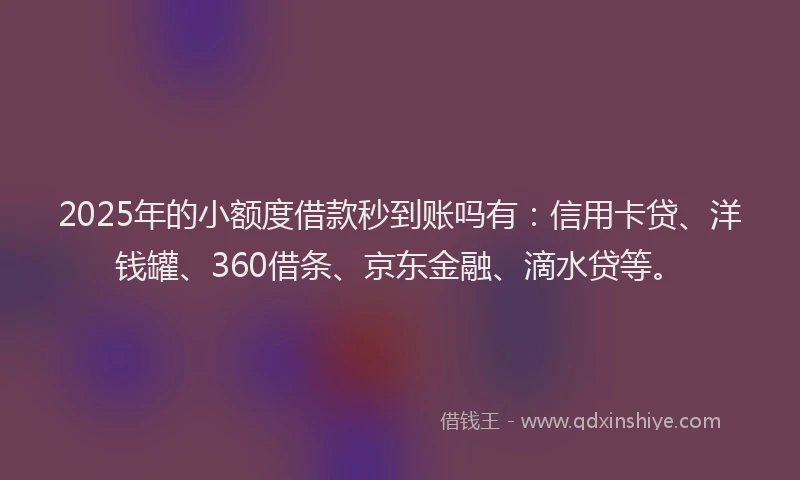 2025年的小额度借款秒到账吗有：信用卡贷、洋钱罐、360借条、京东金融、滴水贷等。