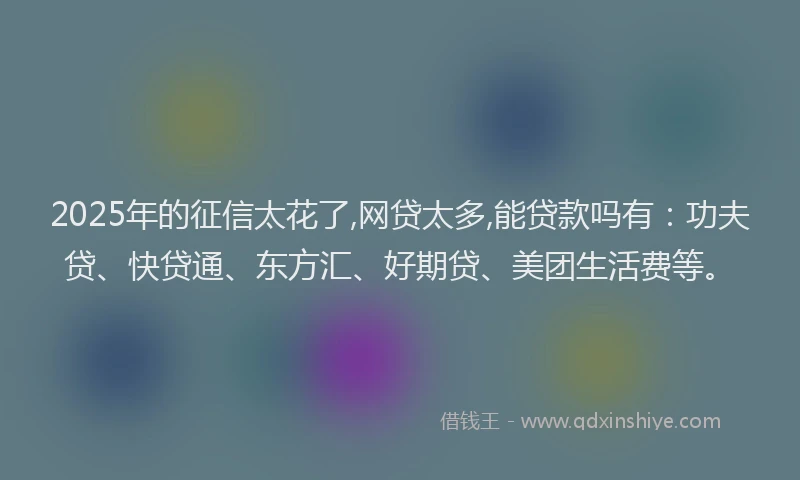 2025年的征信太花了,网贷太多,能贷款吗有：功夫贷、快贷通、东方汇、好期贷、美团生活费等。
