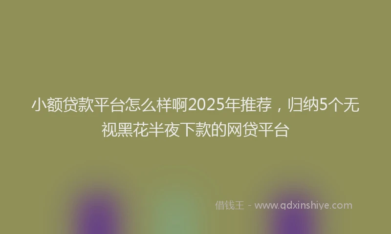 小额贷款平台怎么样啊2025年推荐，归纳5个无视黑花半夜下款的网贷平台