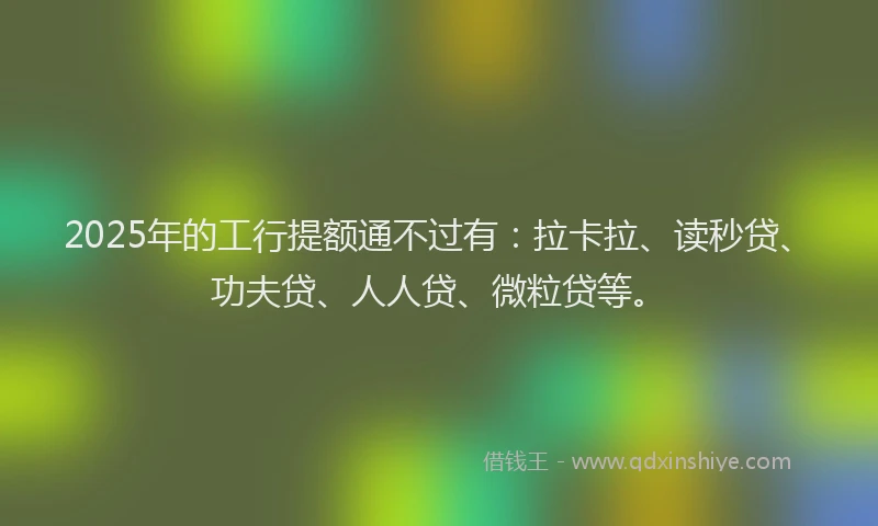 2025年的工行提额通不过有：拉卡拉、读秒贷、功夫贷、人人贷、微粒贷等。