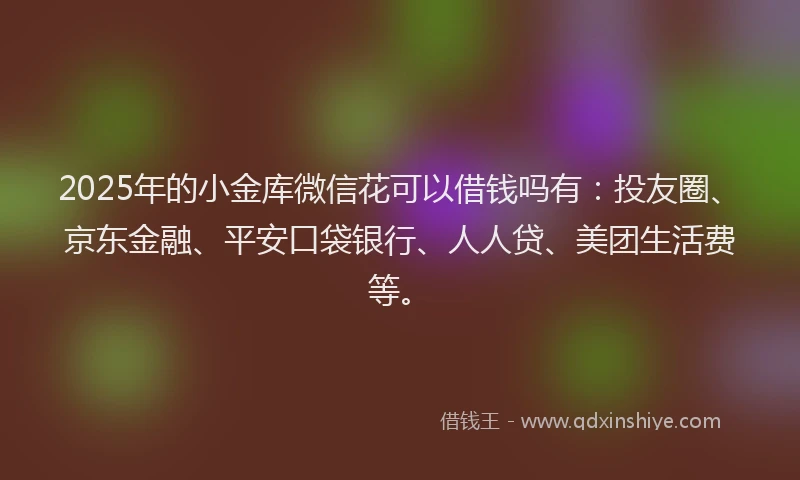2025年的小金库微信花可以借钱吗有：投友圈、京东金融、平安口袋银行、人人贷、美团生活费等。