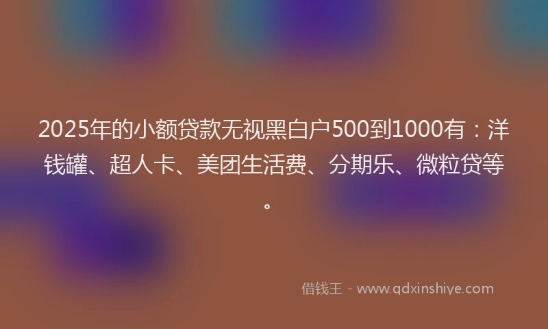 2025年的小额贷款无视黑白户500到1000有：洋钱罐、超人卡、美团生活费、分期乐、微粒贷等。
