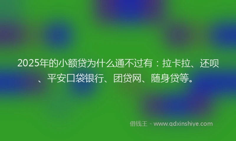 2025年的小额贷为什么通不过有：拉卡拉、还呗、平安口袋银行、团贷网、随身贷等。