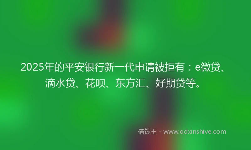 2025年的平安银行新一代申请被拒有：e微贷、滴水贷、花呗、东方汇、好期贷等。