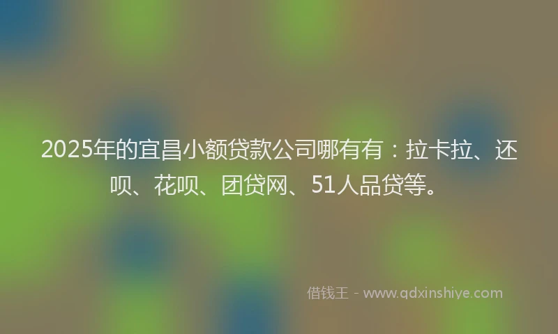 2025年的宜昌小额贷款公司哪有有：拉卡拉、还呗、花呗、团贷网、51人品贷等。