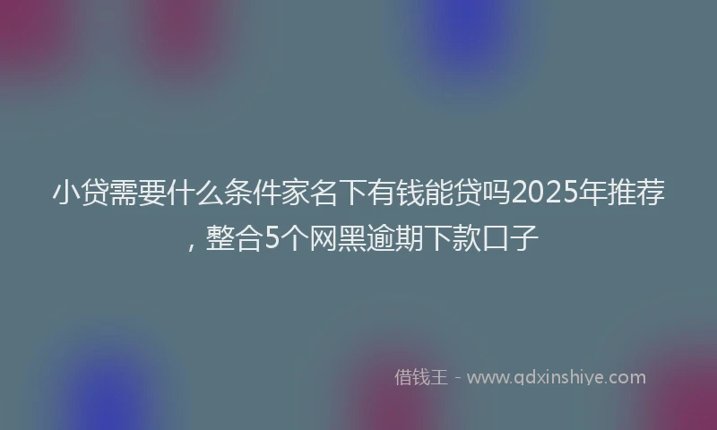 小贷需要什么条件家名下有钱能贷吗2025年推荐，整合5个网黑逾期下款口子