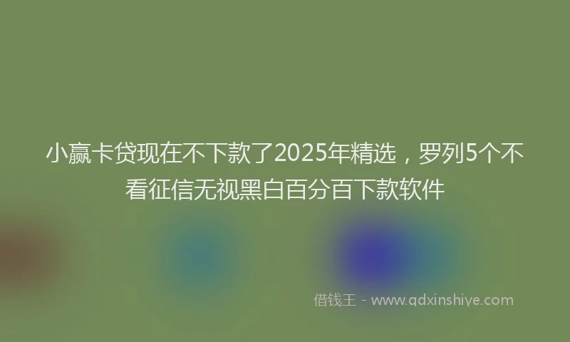 小赢卡贷现在不下款了2025年精选，罗列5个不看征信无视黑白百分百下款软件