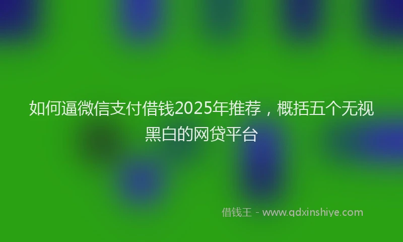 如何逼微信支付借钱2025年推荐，概括五个无视黑白的网贷平台