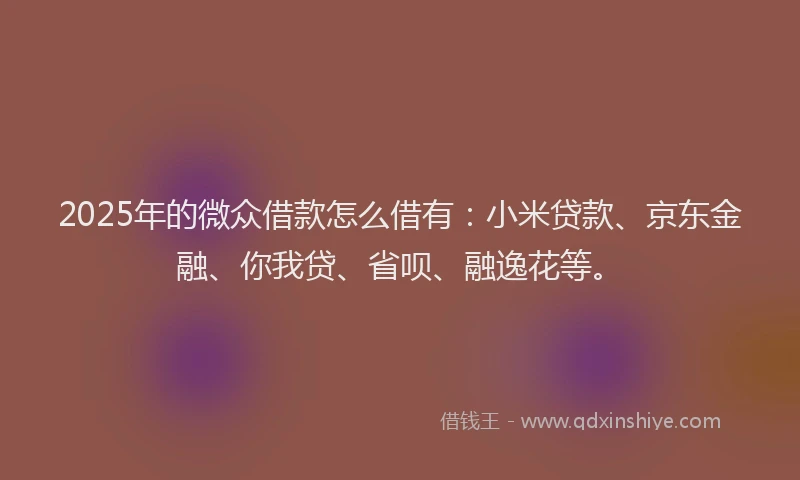 2025年的微众借款怎么借有：小米贷款、京东金融、你我贷、省呗、融逸花等。