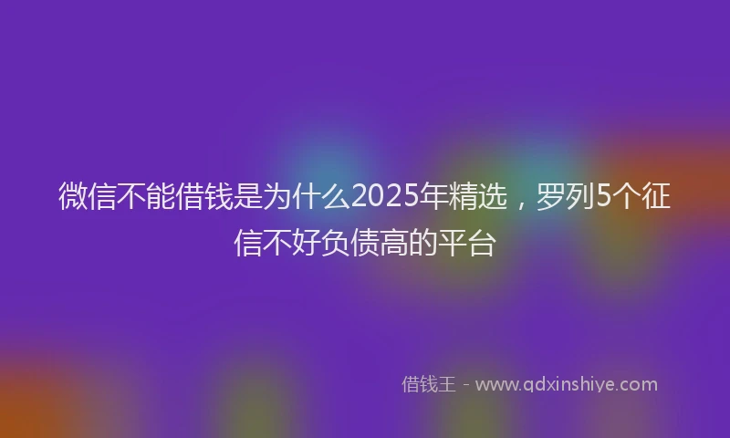 微信不能借钱是为什么2025年精选，罗列5个征信不好负债高的平台