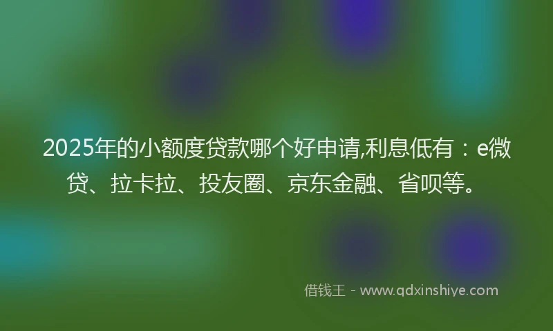 2025年的小额度贷款哪个好申请,利息低有：e微贷、拉卡拉、投友圈、京东金融、省呗等。