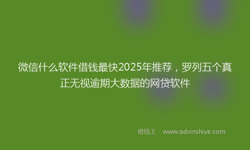 微信什么软件借钱最快2025年推荐，罗列五个真正无视逾期大数据的网贷软件