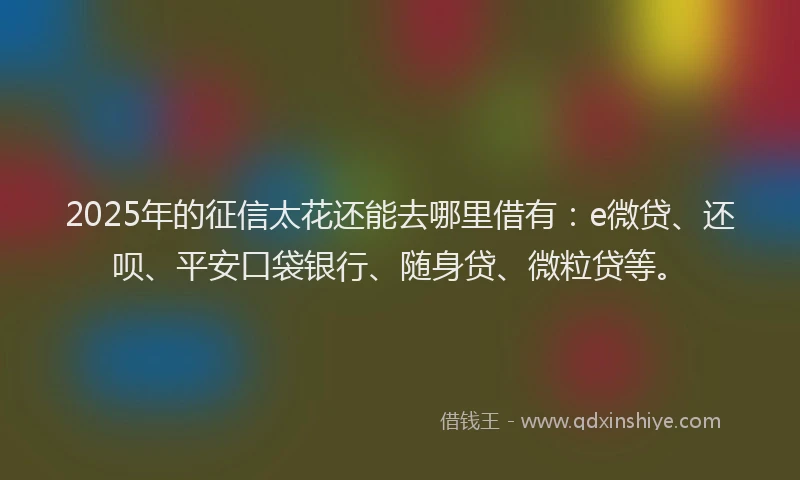 2025年的征信太花还能去哪里借有：e微贷、还呗、平安口袋银行、随身贷、微粒贷等。
