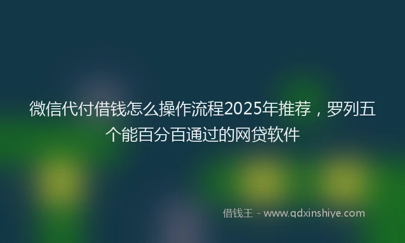 微信代付借钱怎么操作流程2025年推荐，罗列五个能百分百通过的网贷软件
