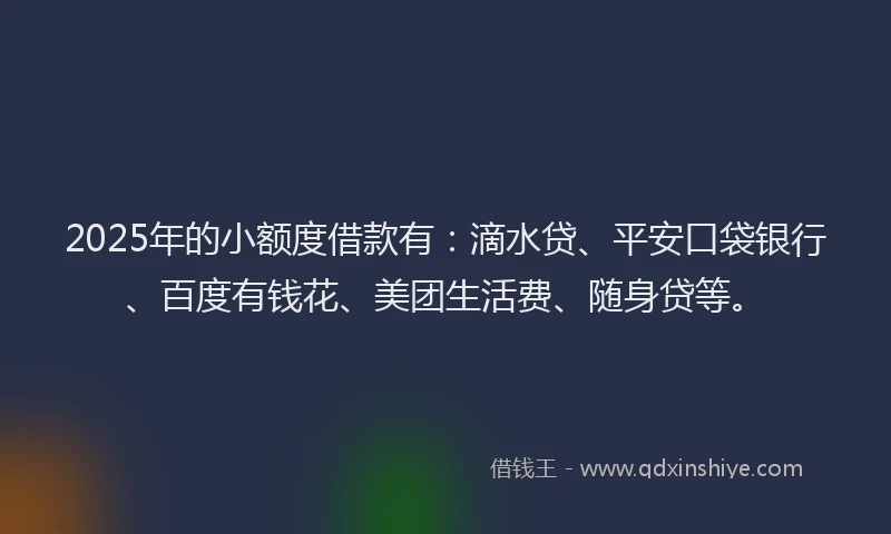 2025年的小额度借款有：滴水贷、平安口袋银行、百度有钱花、美团生活费、随身贷等。