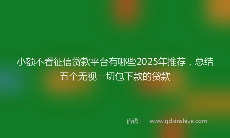 小额不看征信贷款平台有哪些2025年推荐，总结五个无视一切包下款的贷款