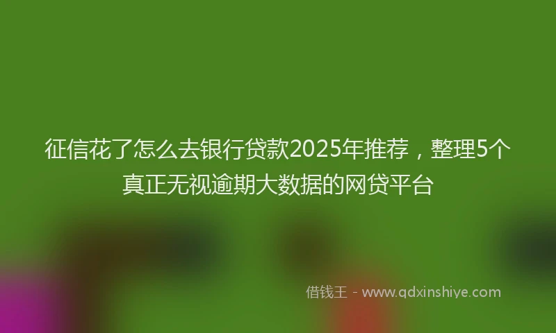 征信花了怎么去银行贷款2025年推荐，整理5个真正无视逾期大数据的网贷平台