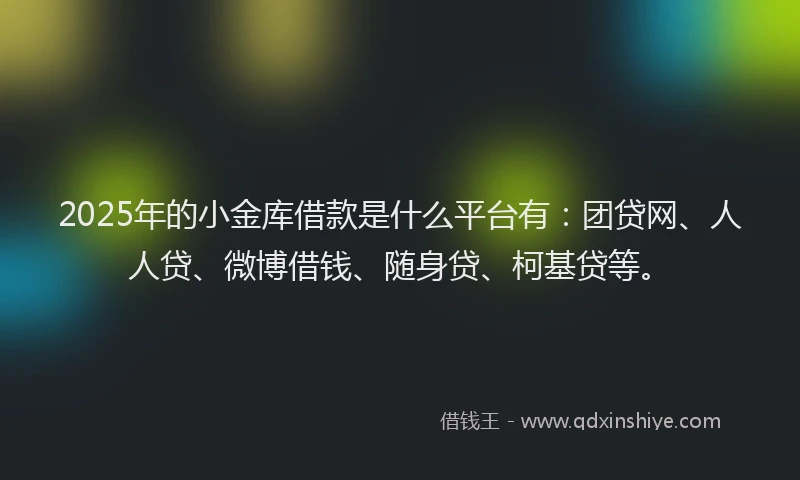 2025年的小金库借款是什么平台有：团贷网、人人贷、微博借钱、随身贷、柯基贷等。