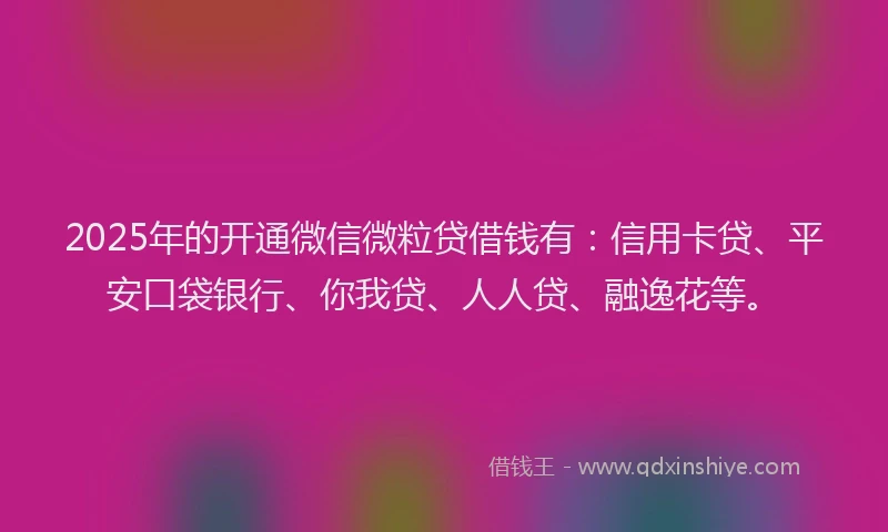 2025年的开通微信微粒贷借钱有：信用卡贷、平安口袋银行、你我贷、人人贷、融逸花等。